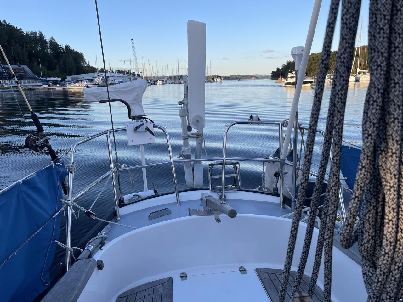Bacchant IV