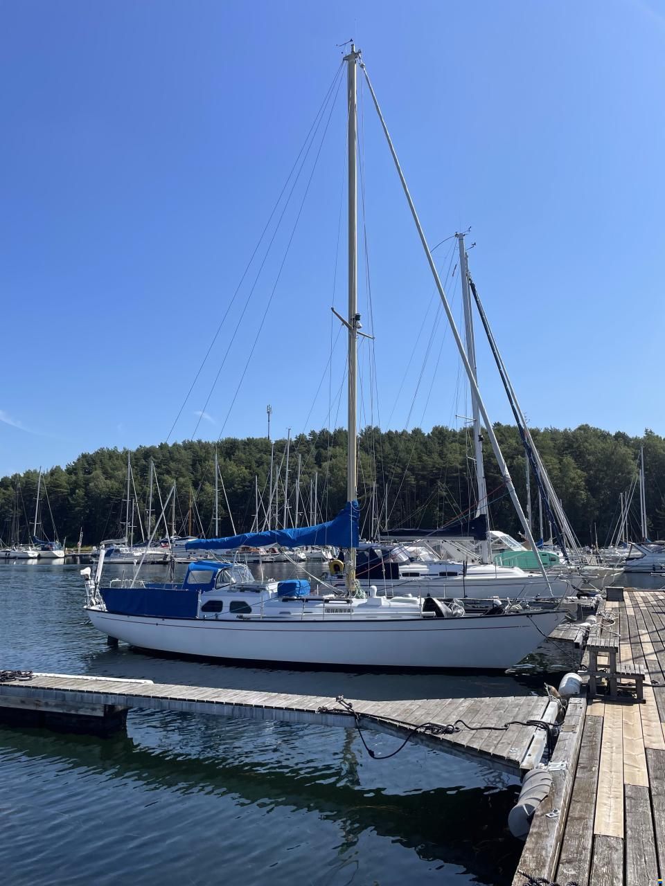 Bacchant IV