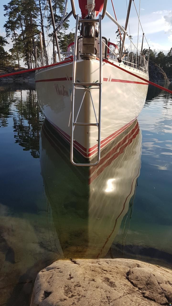 Albin Delta 31