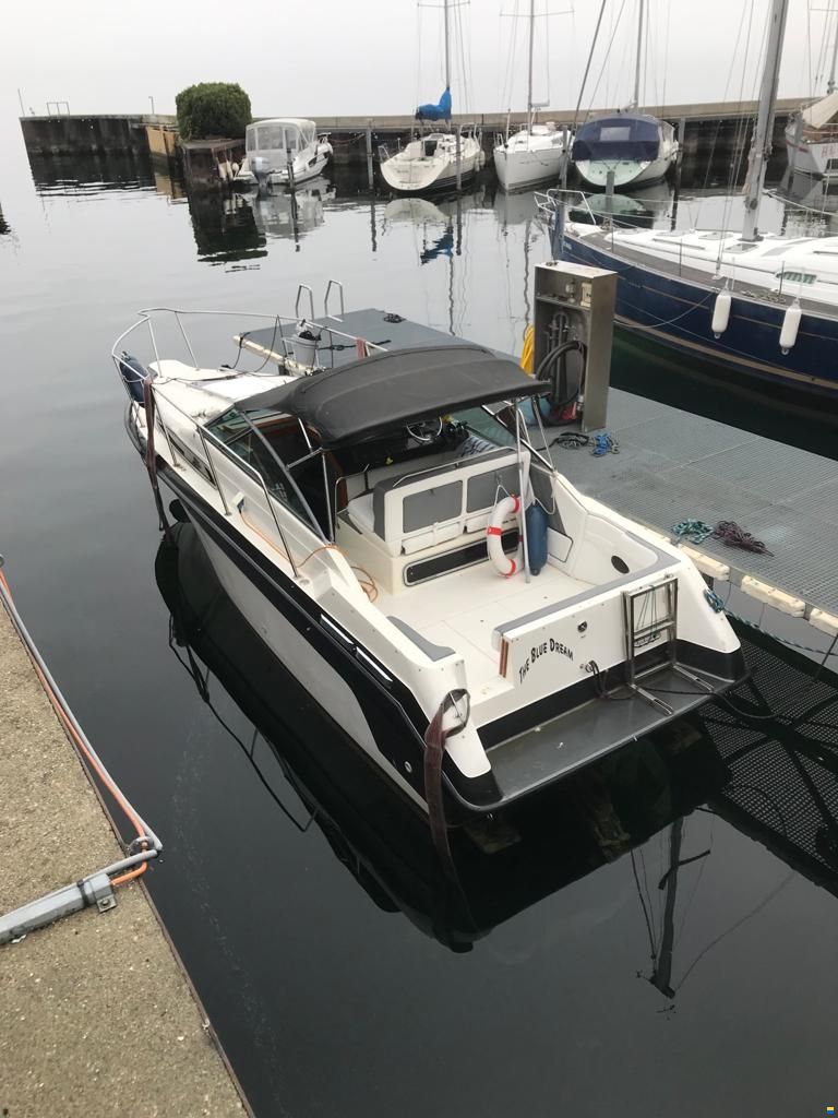 Sea Ray Sundancer 250 Da