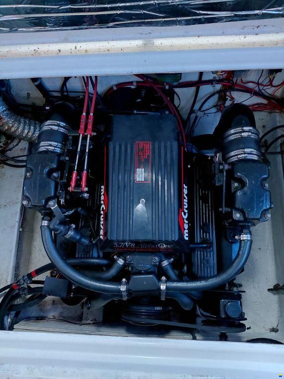 Bayliner 2556 Fly Ciera