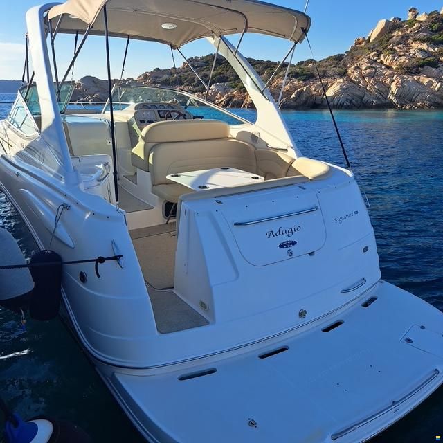 Chaparral 310 Signature