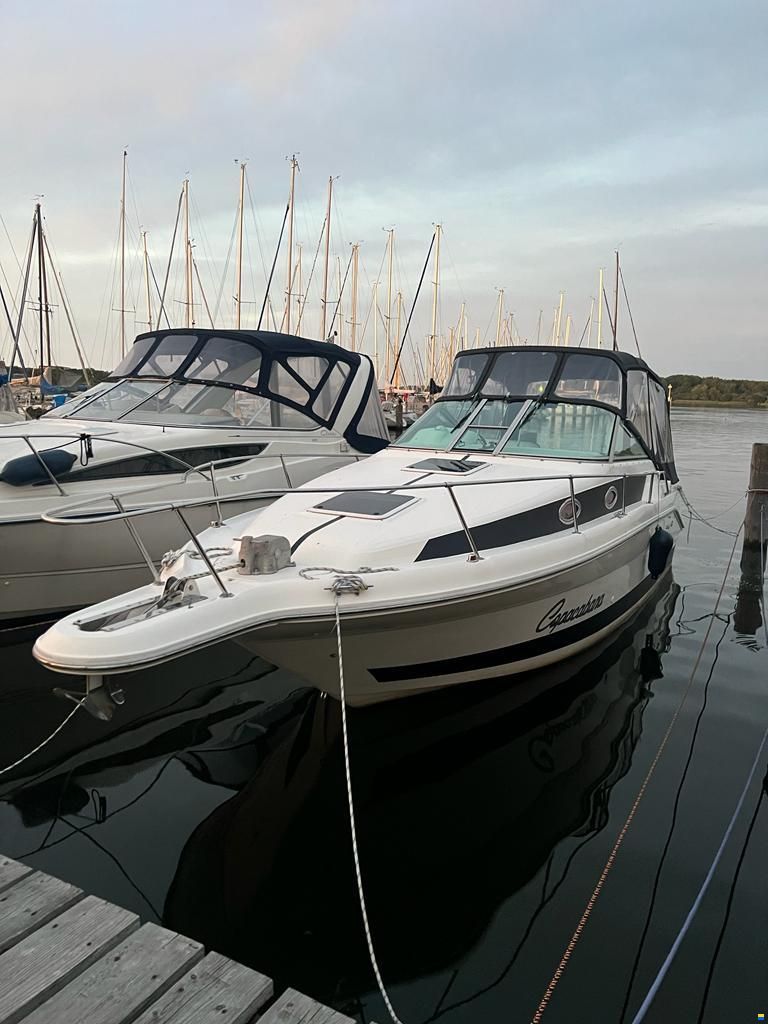 Sea Ray Sundancer 270