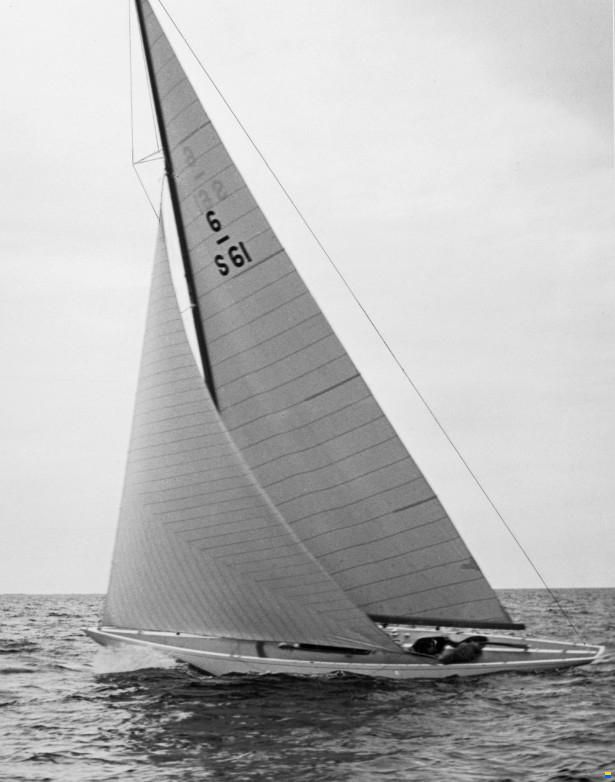 6M ALIBABA II