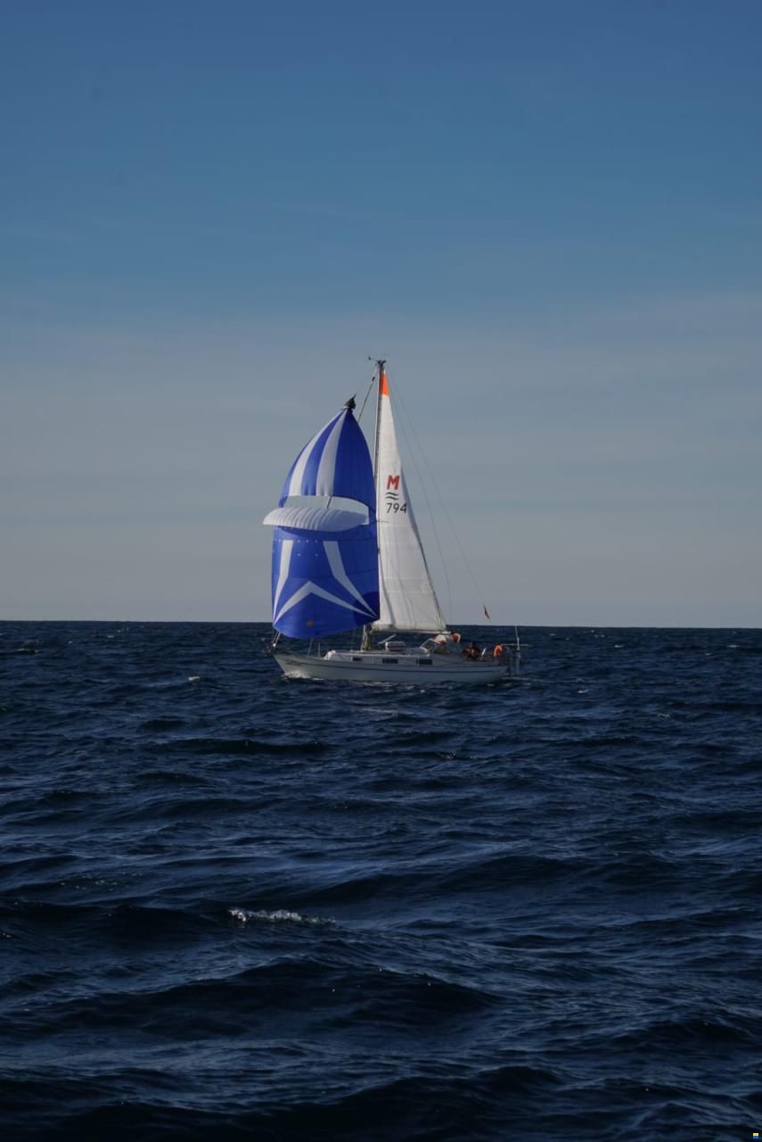 Hallberg-Rassy Monsun 31