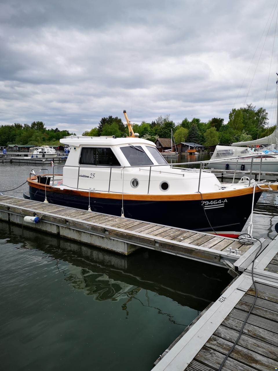 Sciallino 25