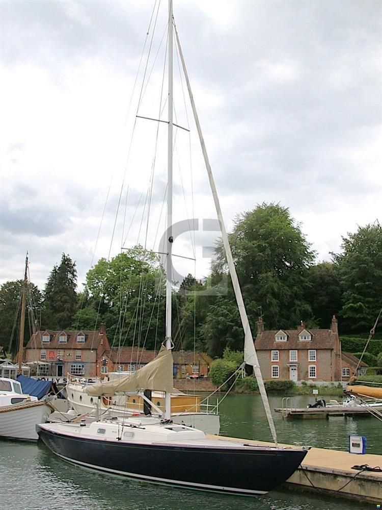 Rustler 33