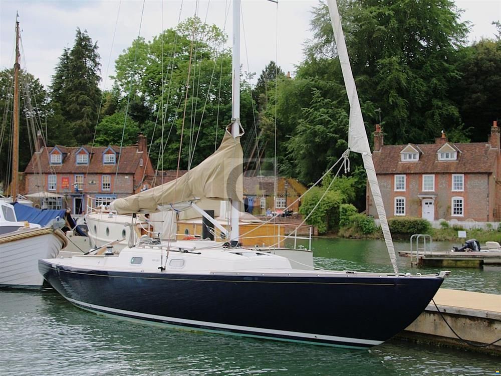 Rustler 33