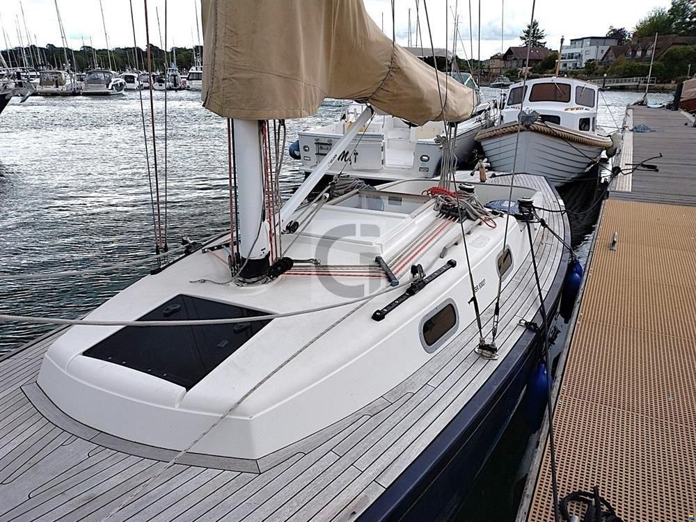 Rustler 33