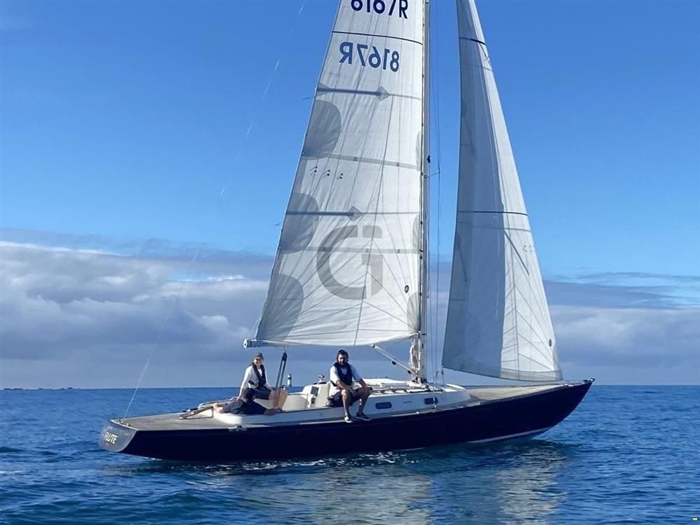 Rustler 33