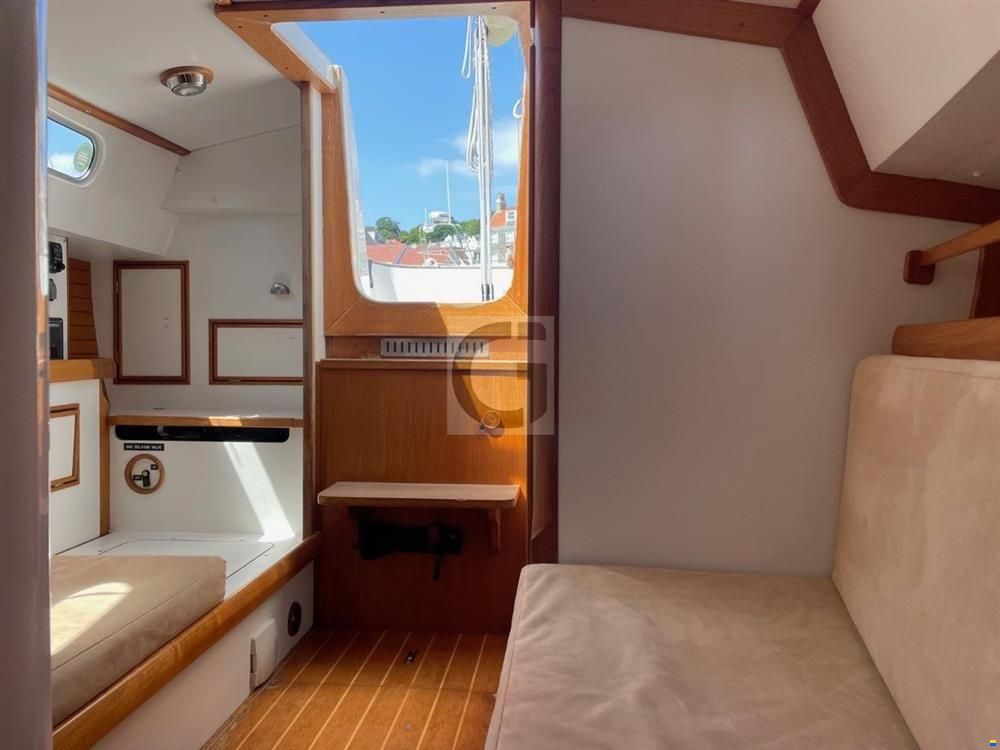 Rustler 33