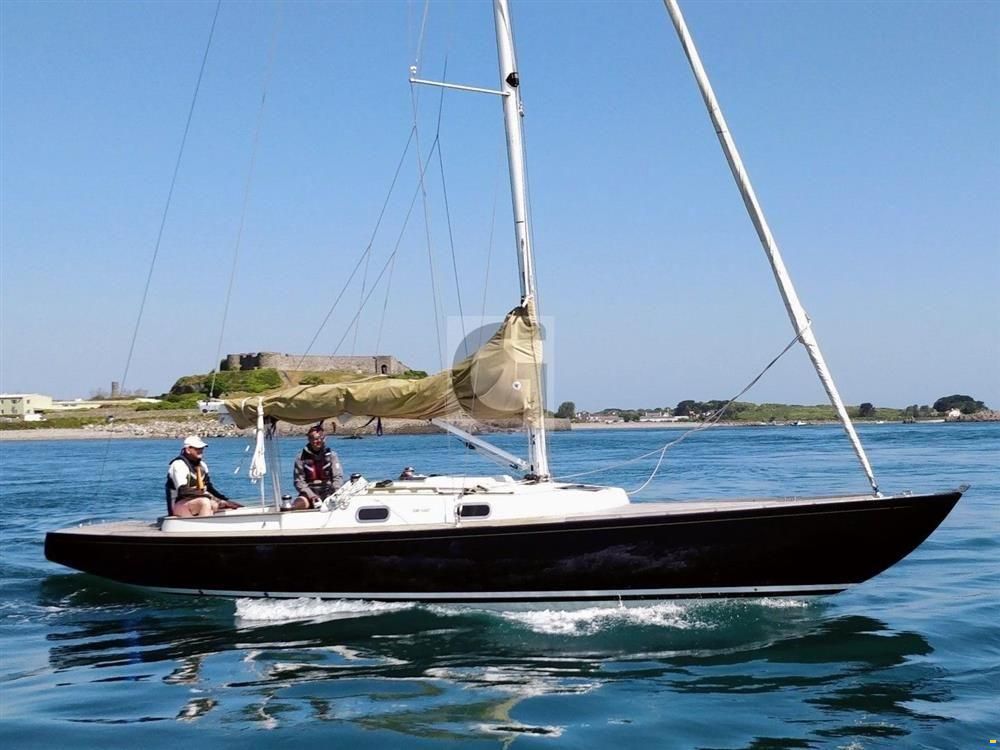 Rustler 33