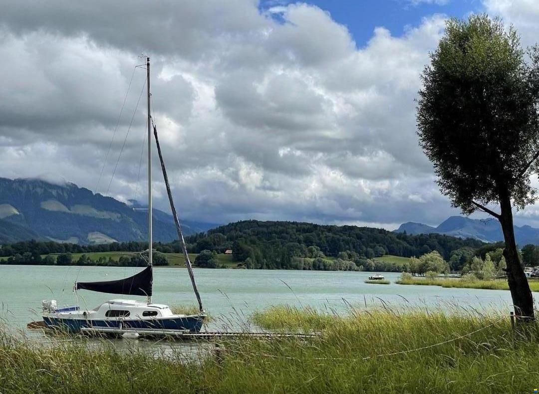 Staempfli Rafale 600