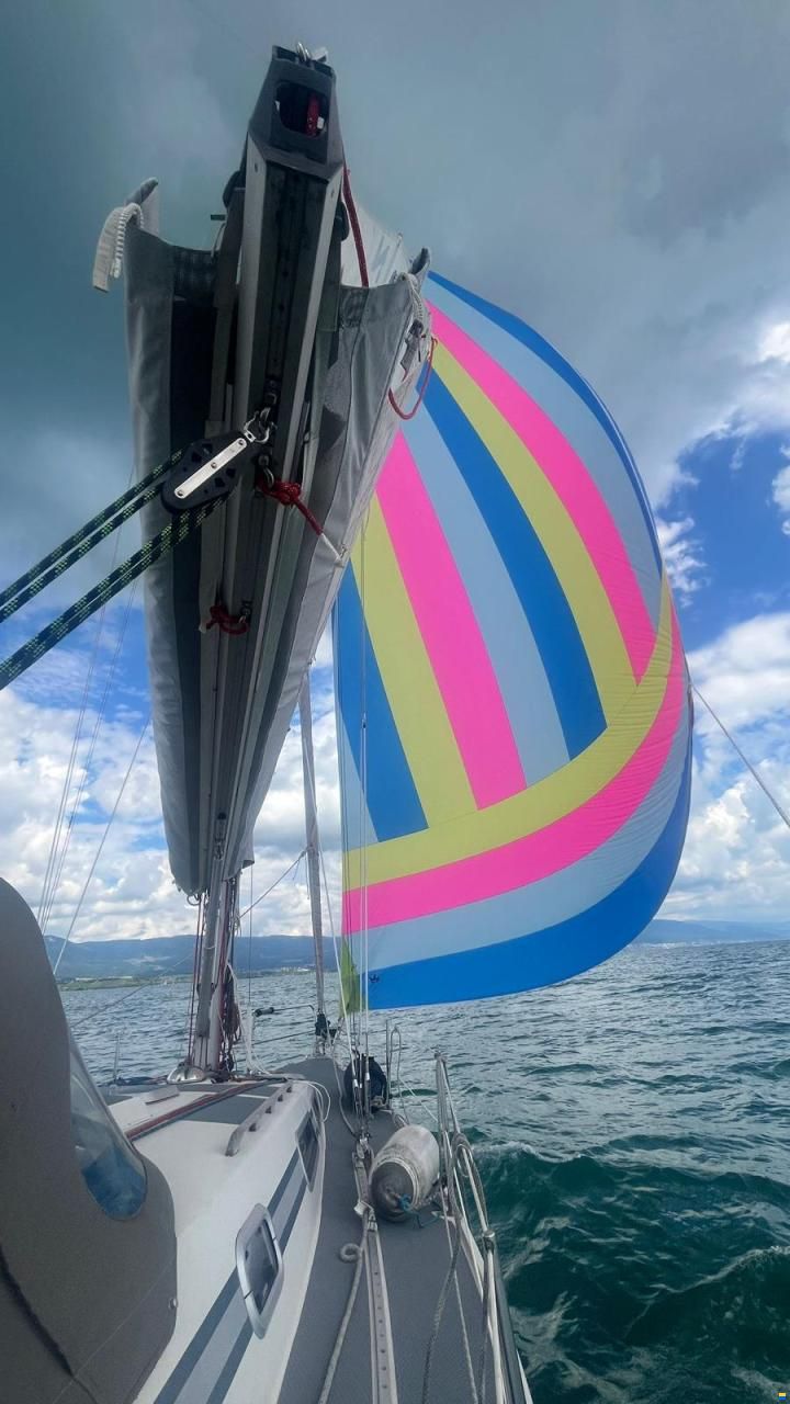 Larsmo Marin Avance 318