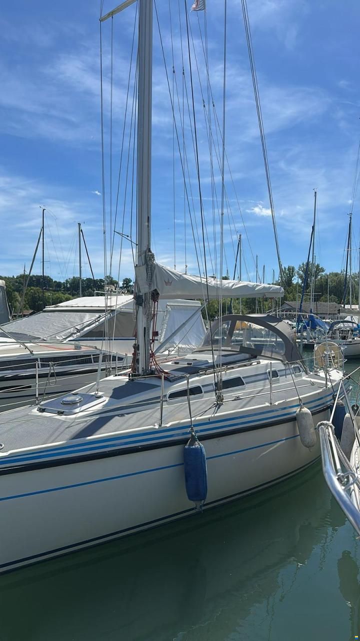 Larsmo Marin Avance 318