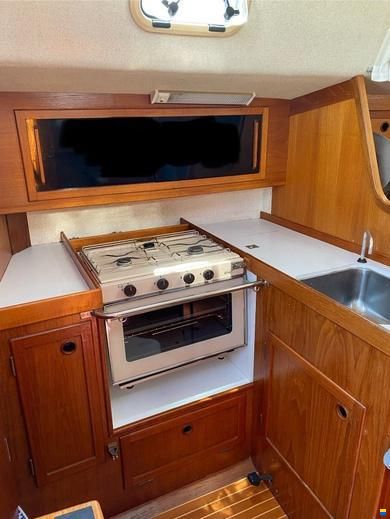 Larsmo Marin Avance 318