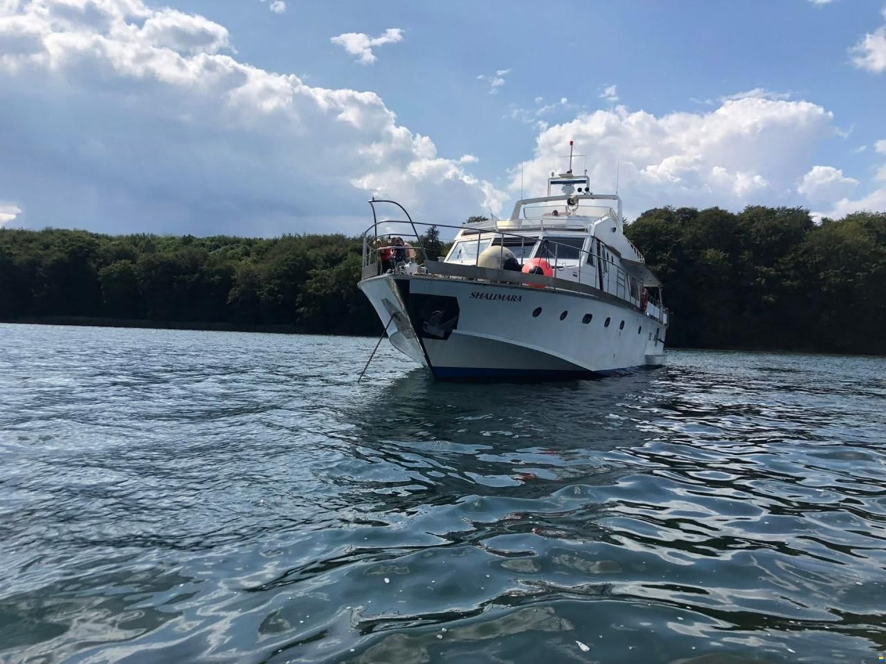 Shalimara 82
