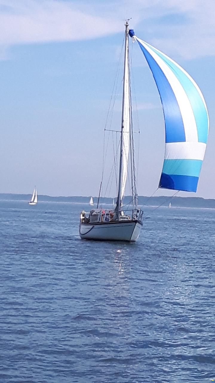 Deckshaus Sloop Baltica