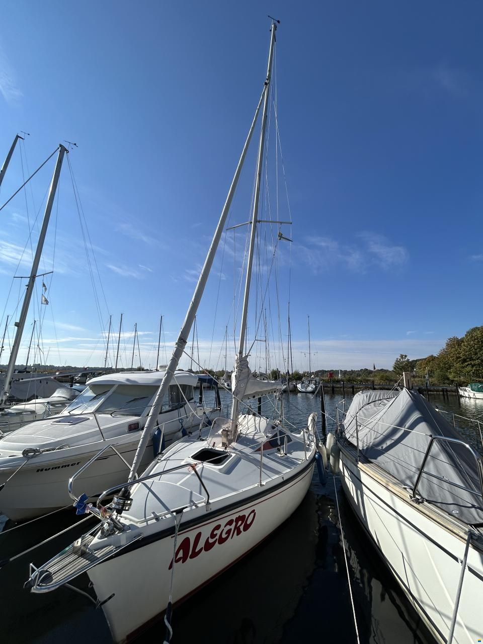 Delphia Sportina 680