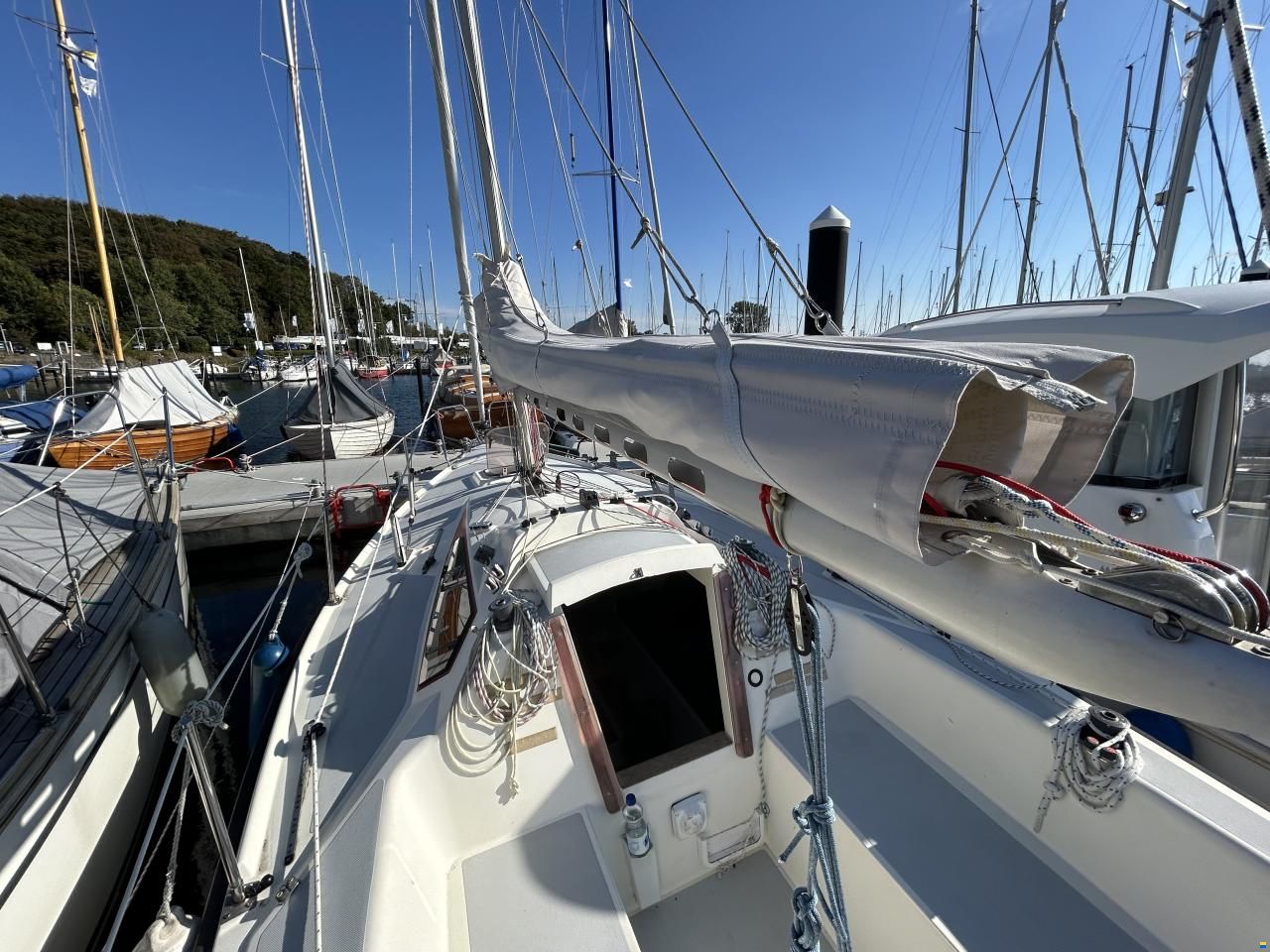 Delphia Sportina 680