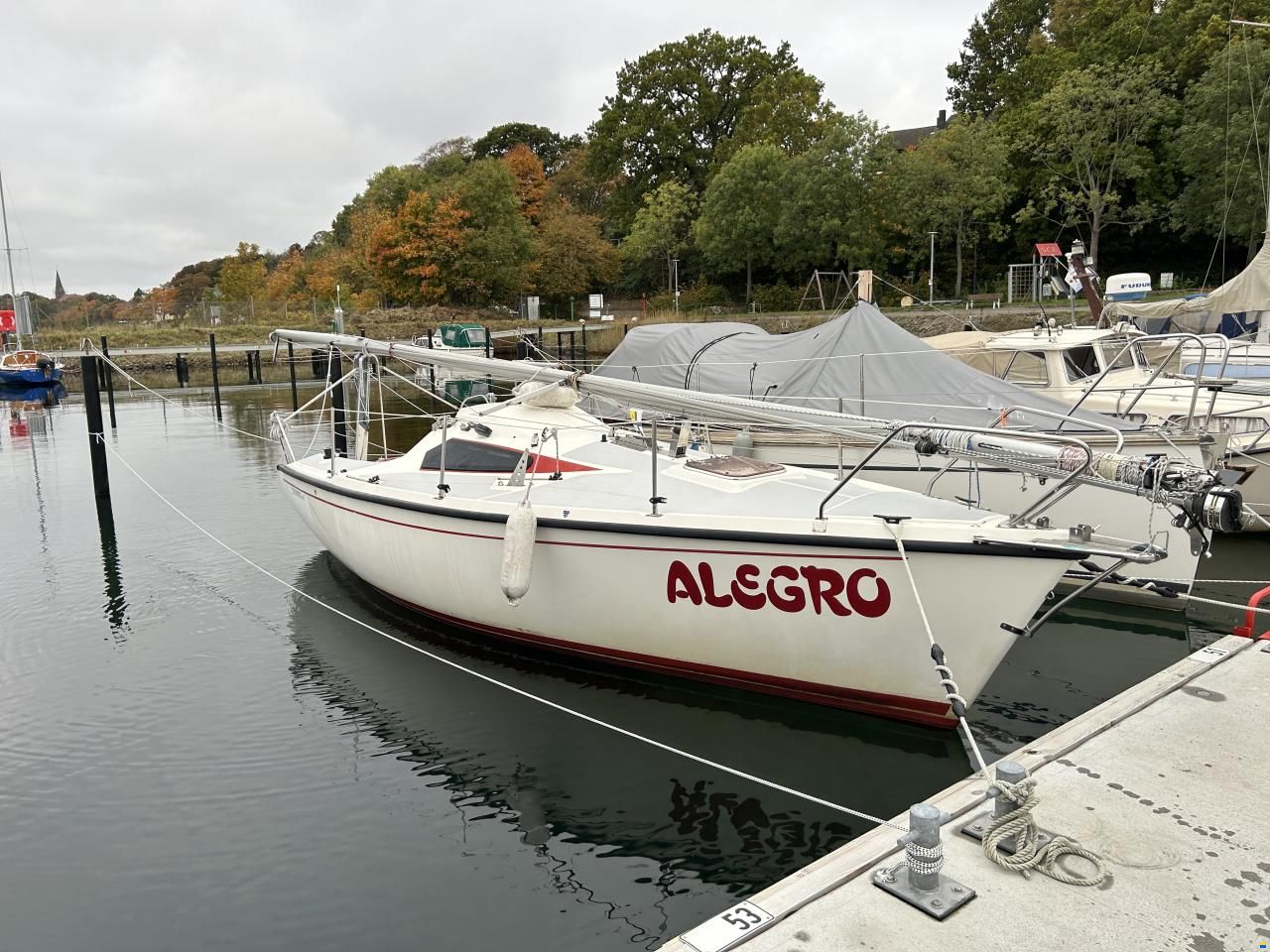 Delphia Sportina 680