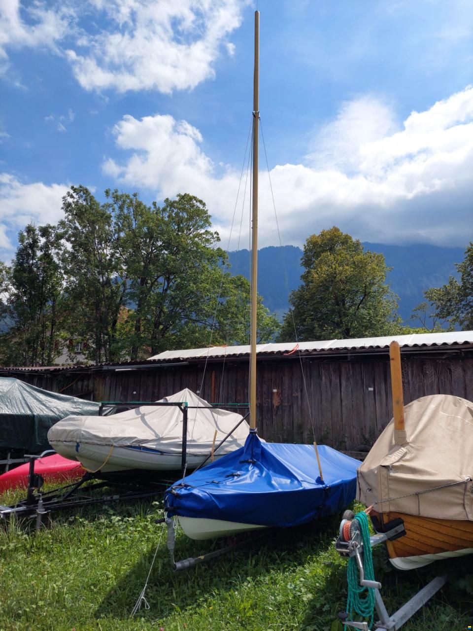 Delphin, S&uuml;dnautik, Rothkreuz bei Lindau