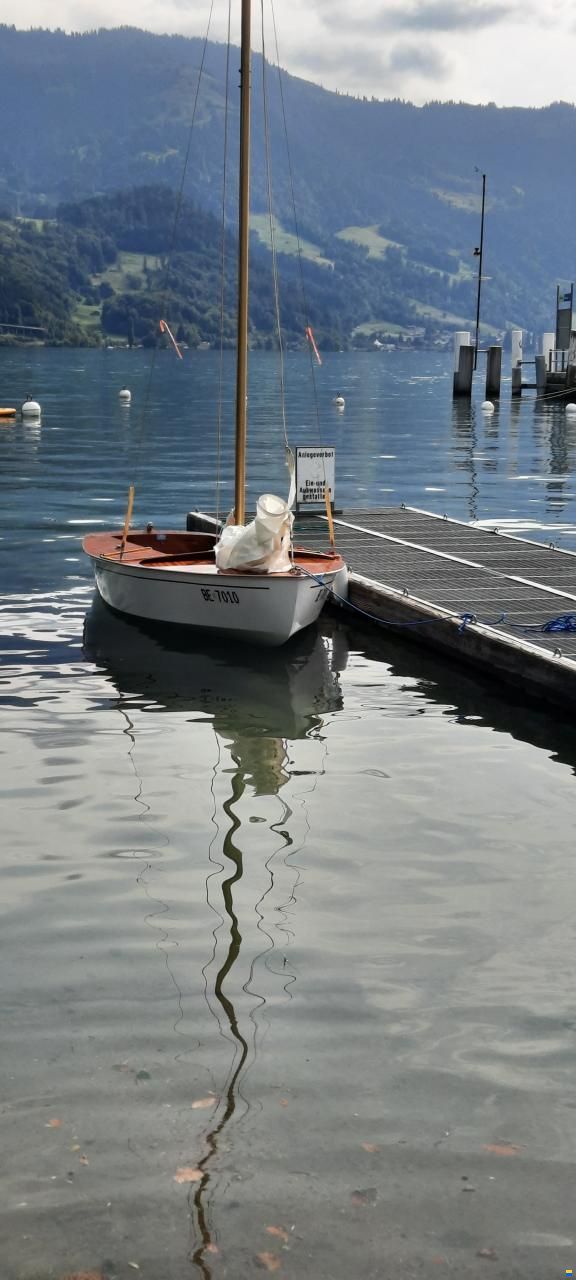 Delphin, S&uuml;dnautik, Rothkreuz bei Lindau