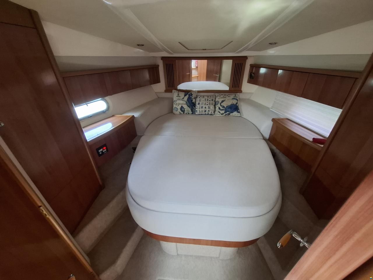 Sealine C39