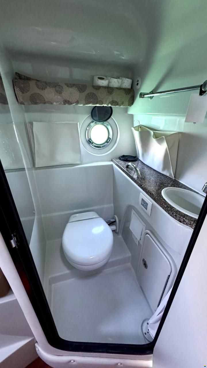 Crownline 310 CRX