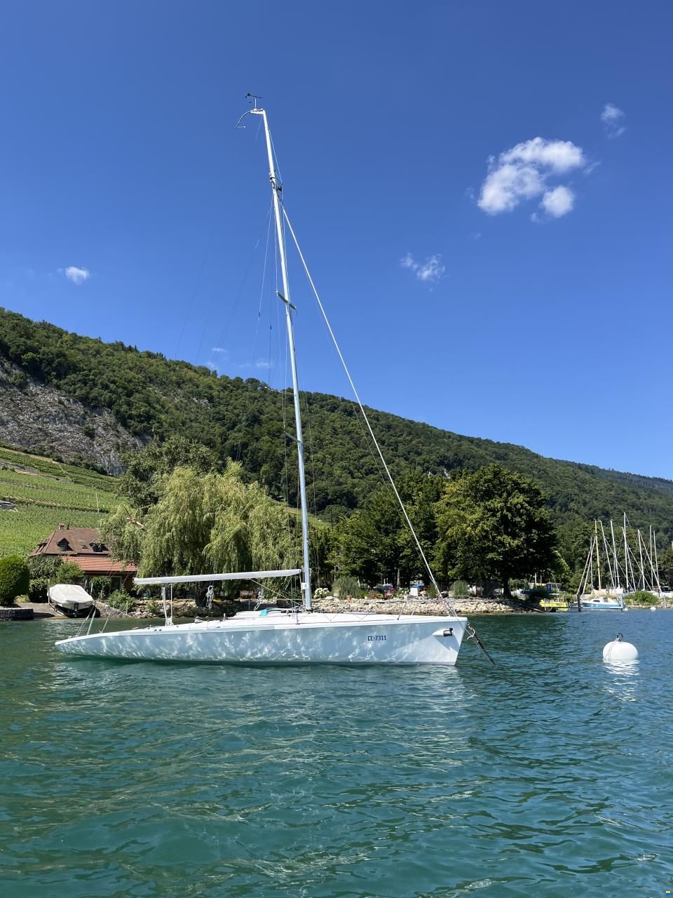 Santarelli Maxi Dolphin Joker