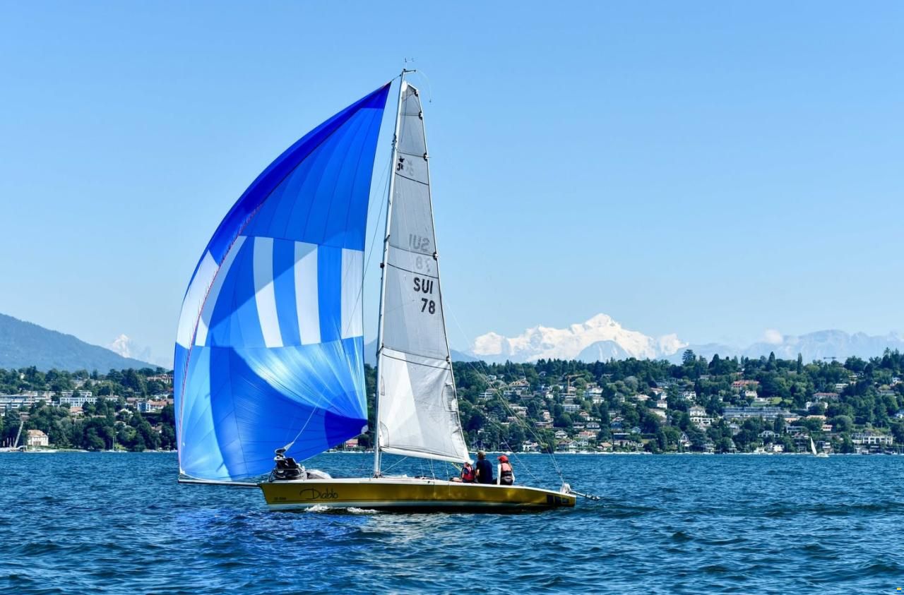 Santarelli Maxi Dolphin Joker