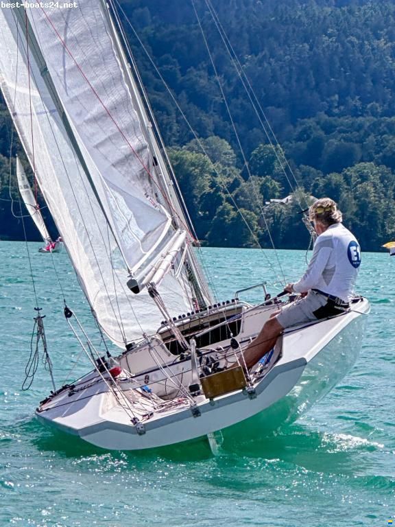 Santarelli Maxi Dolphin Joker