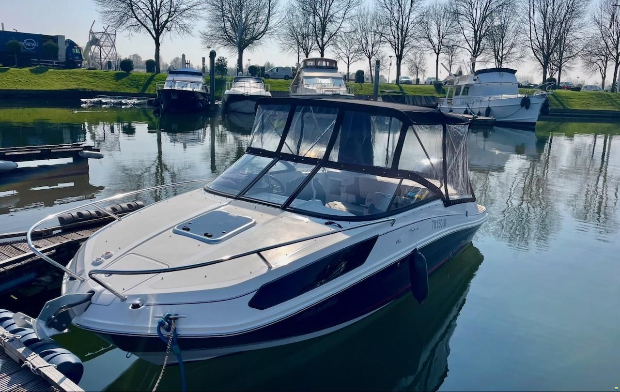 Bayliner VR5 Cuddy