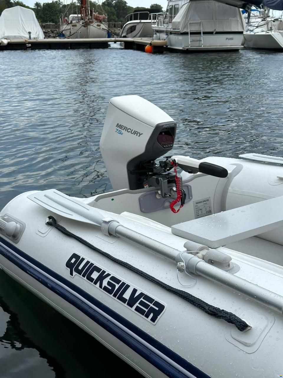 Mercury avator 7,5 ELRC