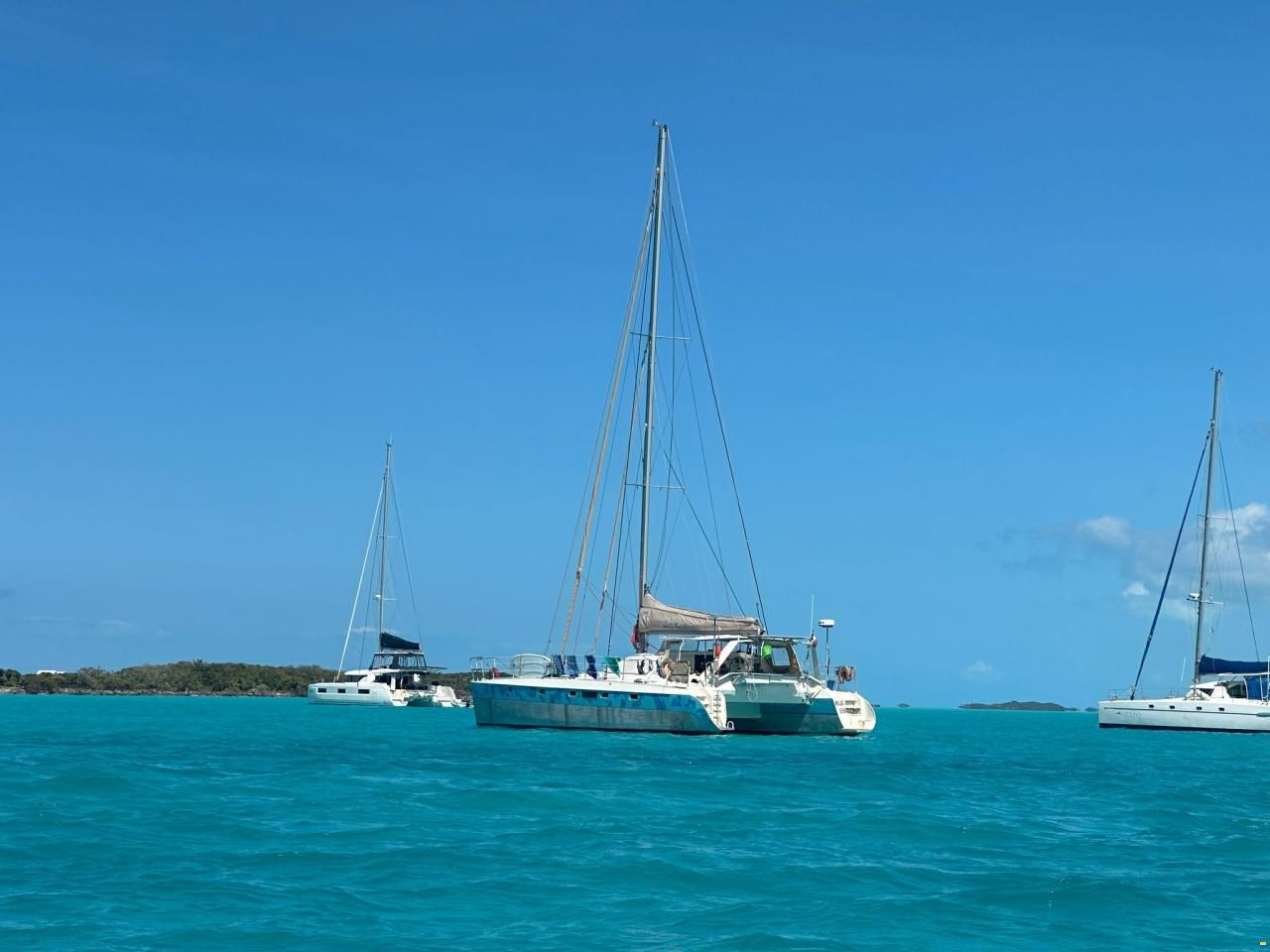 Cadeau Catbird 47