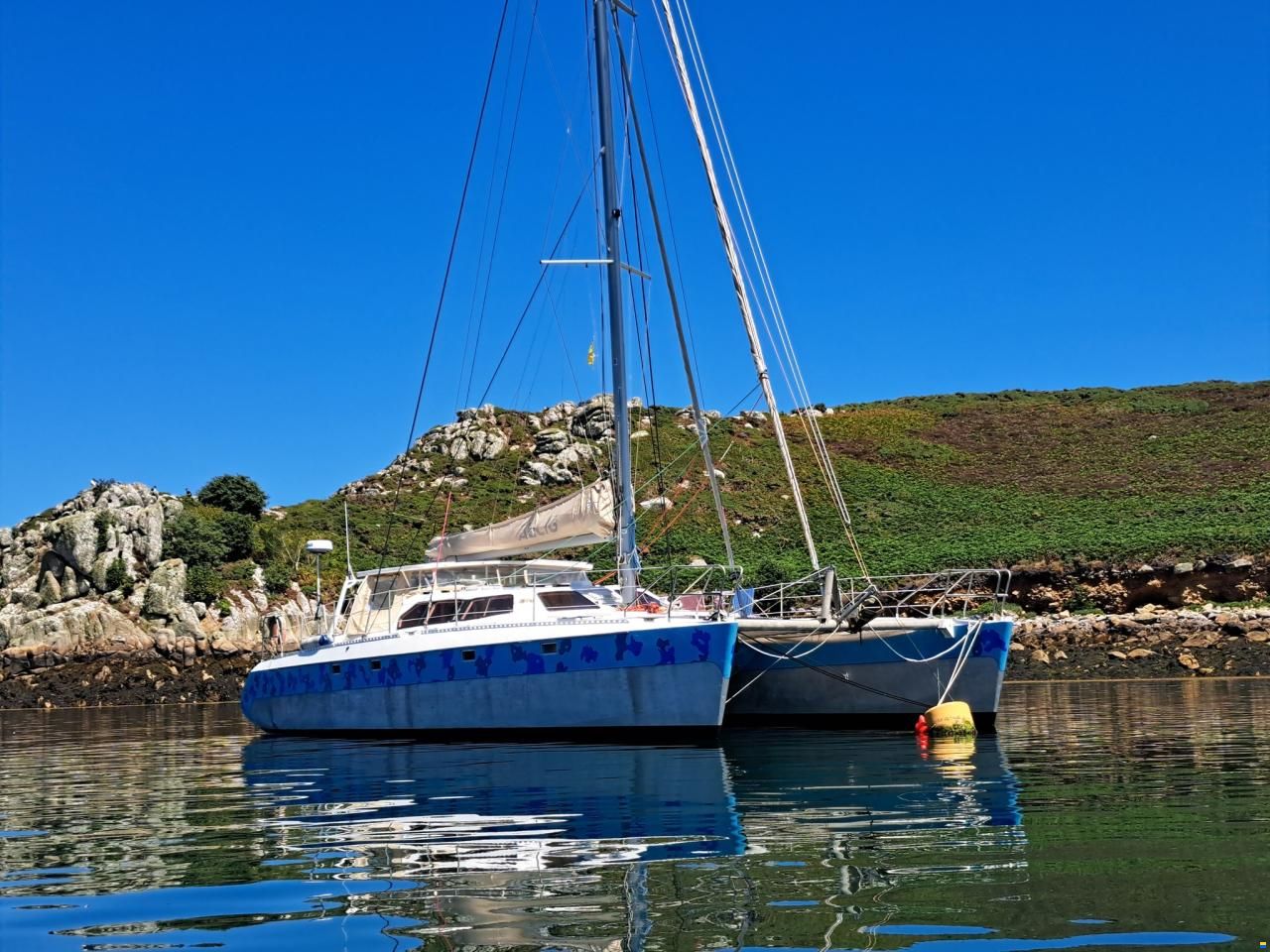 Cadeau Catbird 47