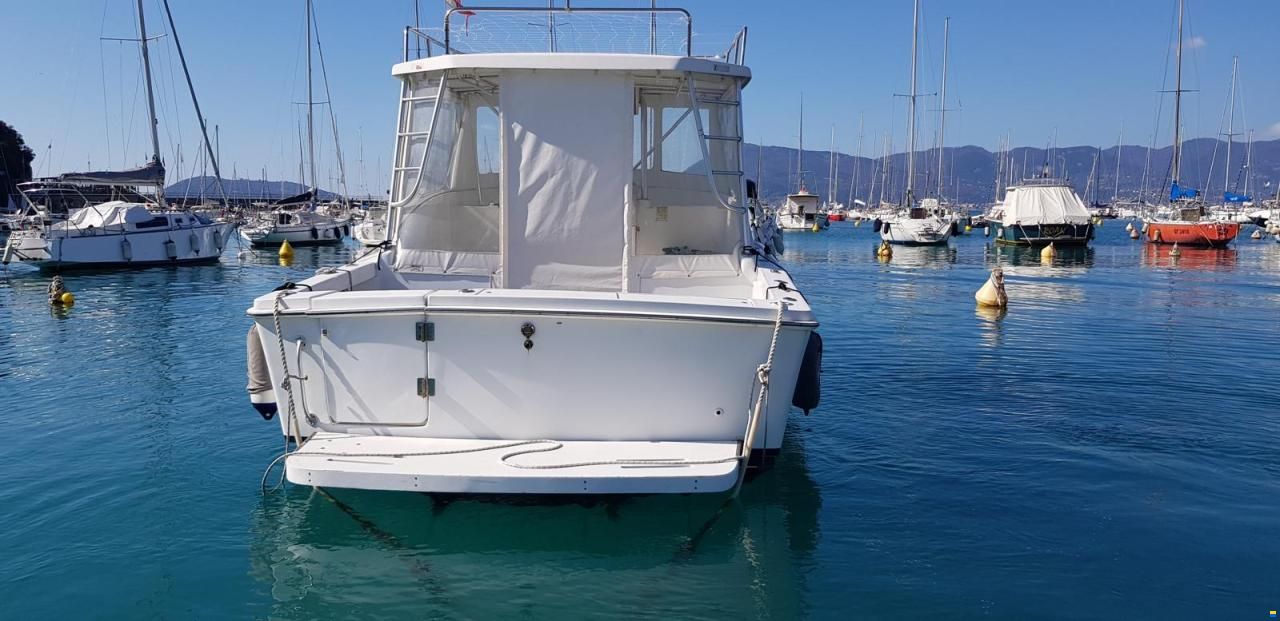 Luhrs T-290 WA