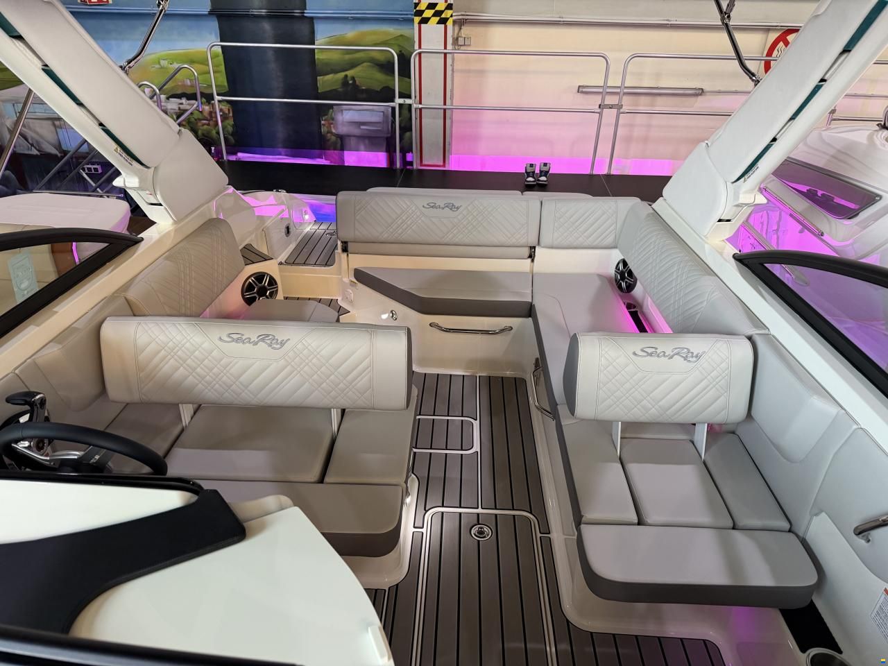 Sea Ray 250 SDX