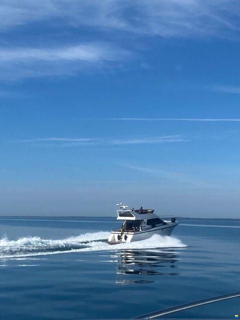 Storebro 430 Royal Cruiser