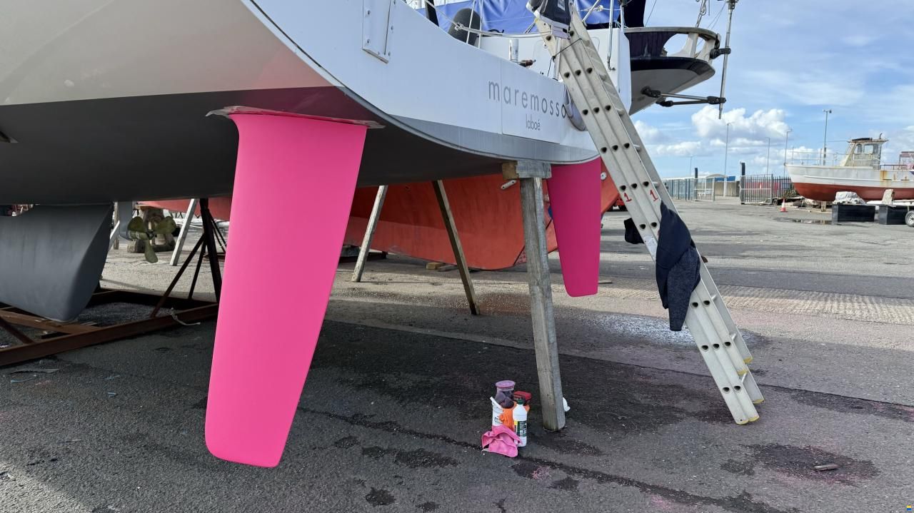 Pogo 50