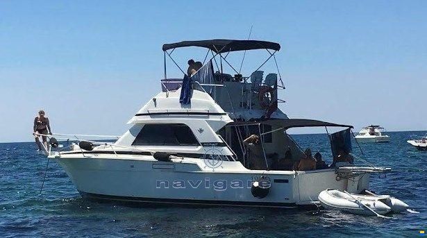 Bertram Yacht 37' SF