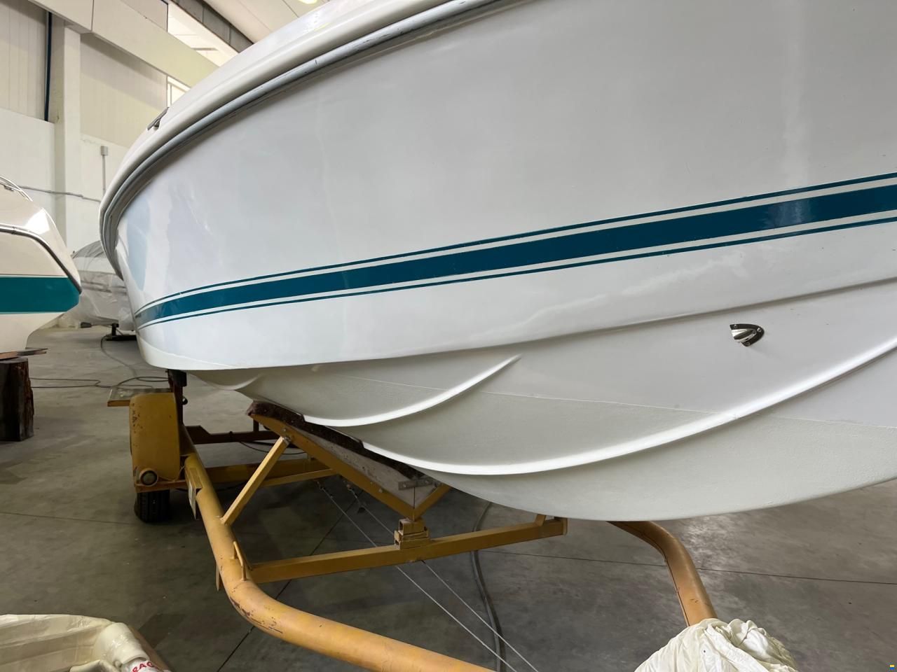 Tullio Abbate Sea Star 22