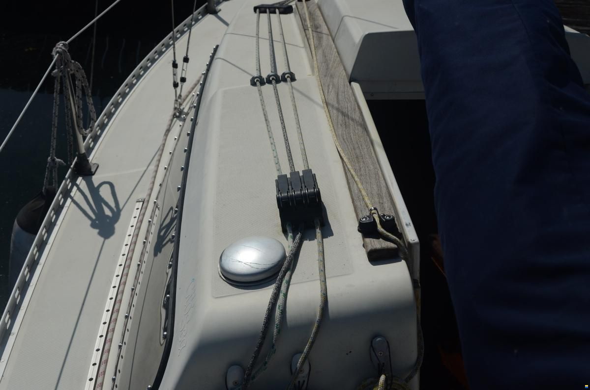 Gib Sea 242