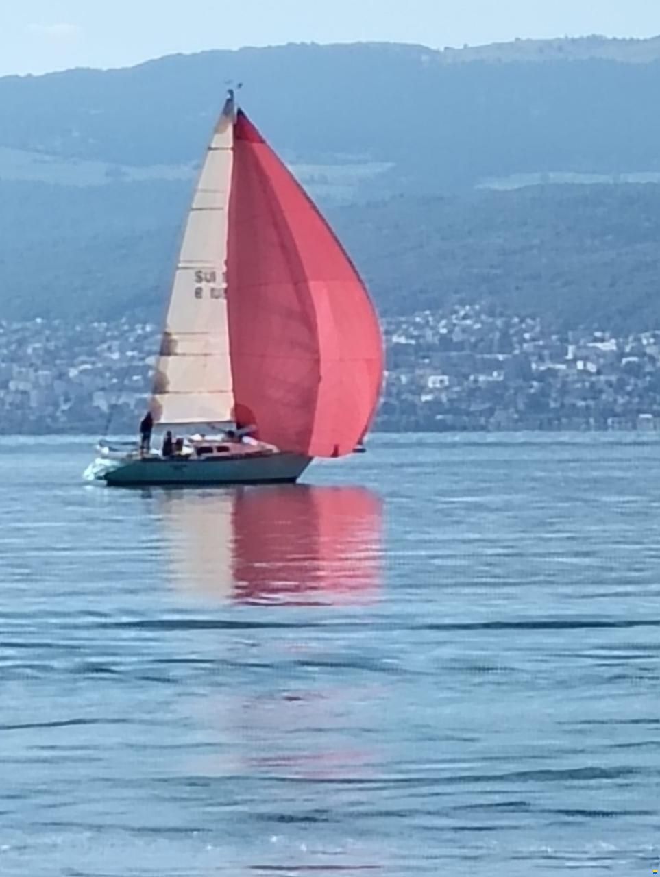 Eliminator 32
