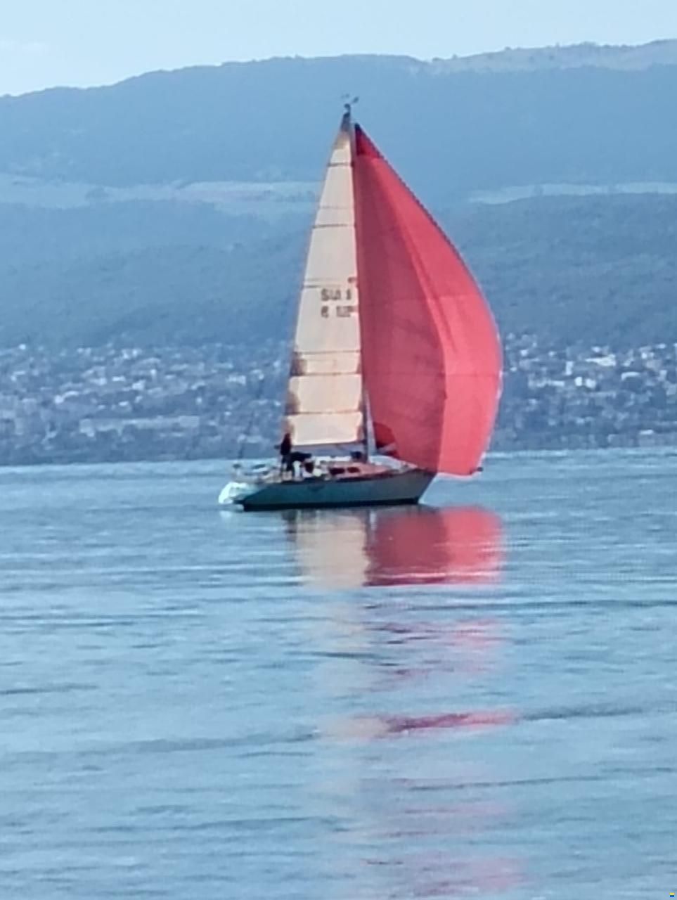 Eliminator 32