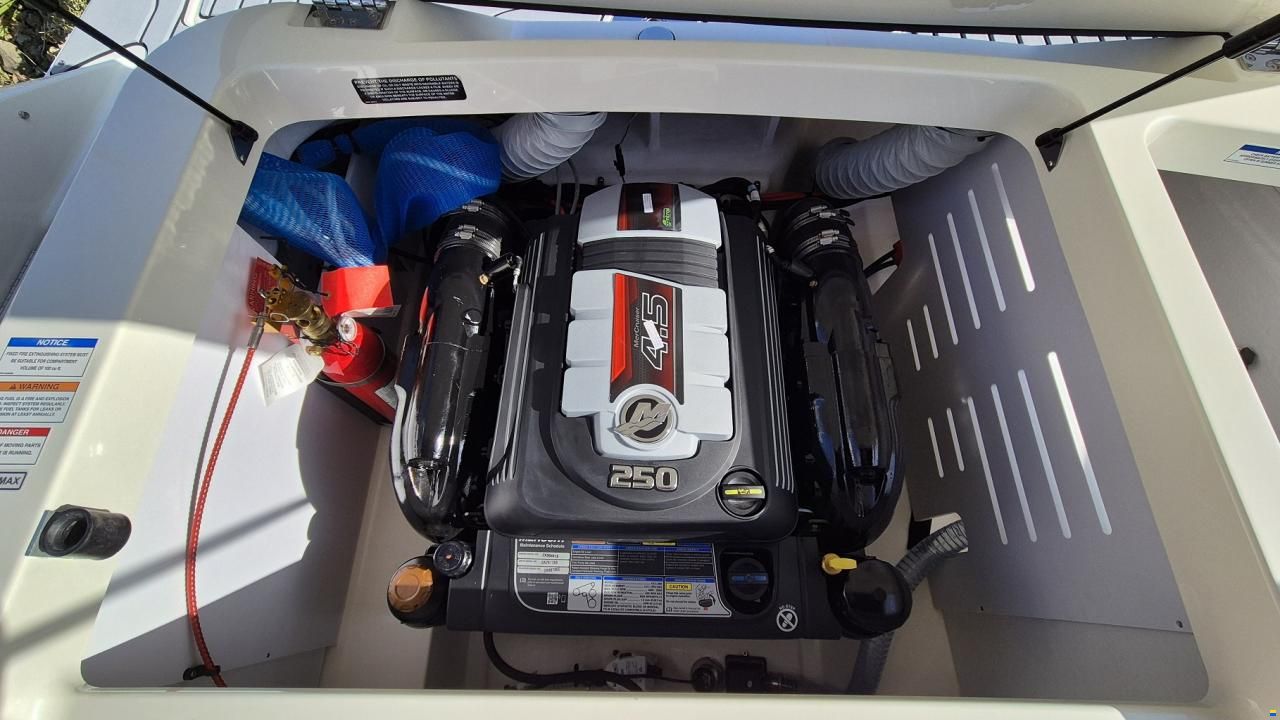 Sea Ray SPX 210 Europe