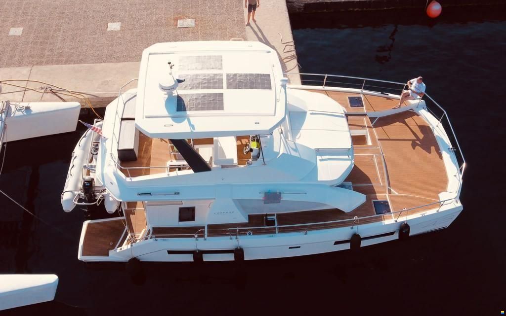 Leopard 43