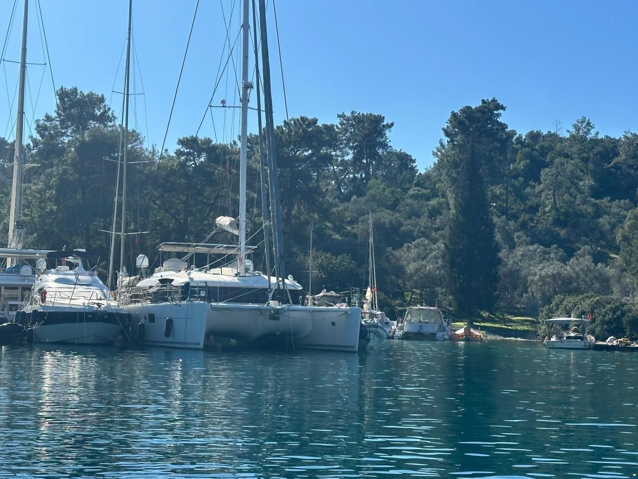 Lagoon 620