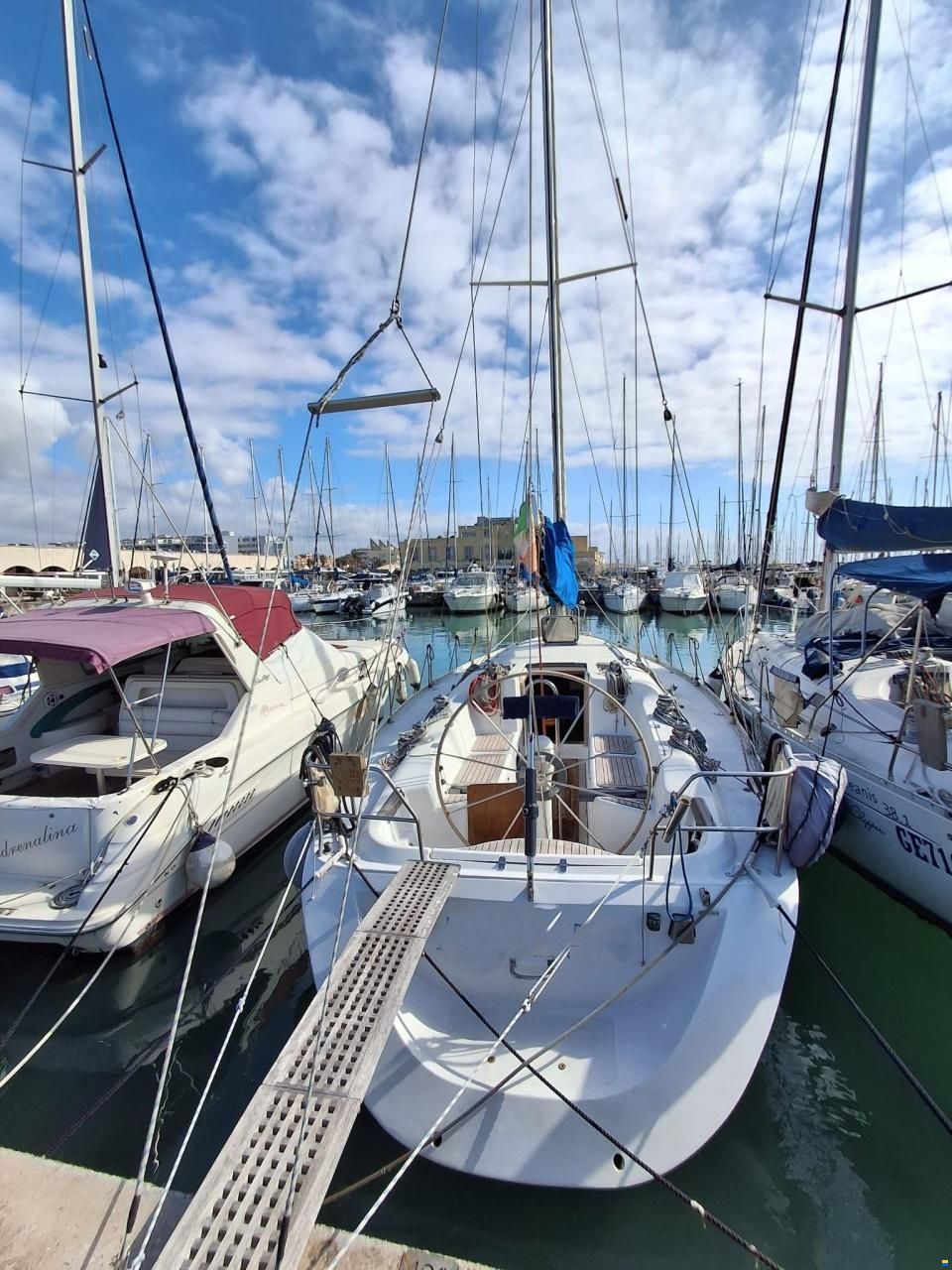 Argo Mare DUCK 41
