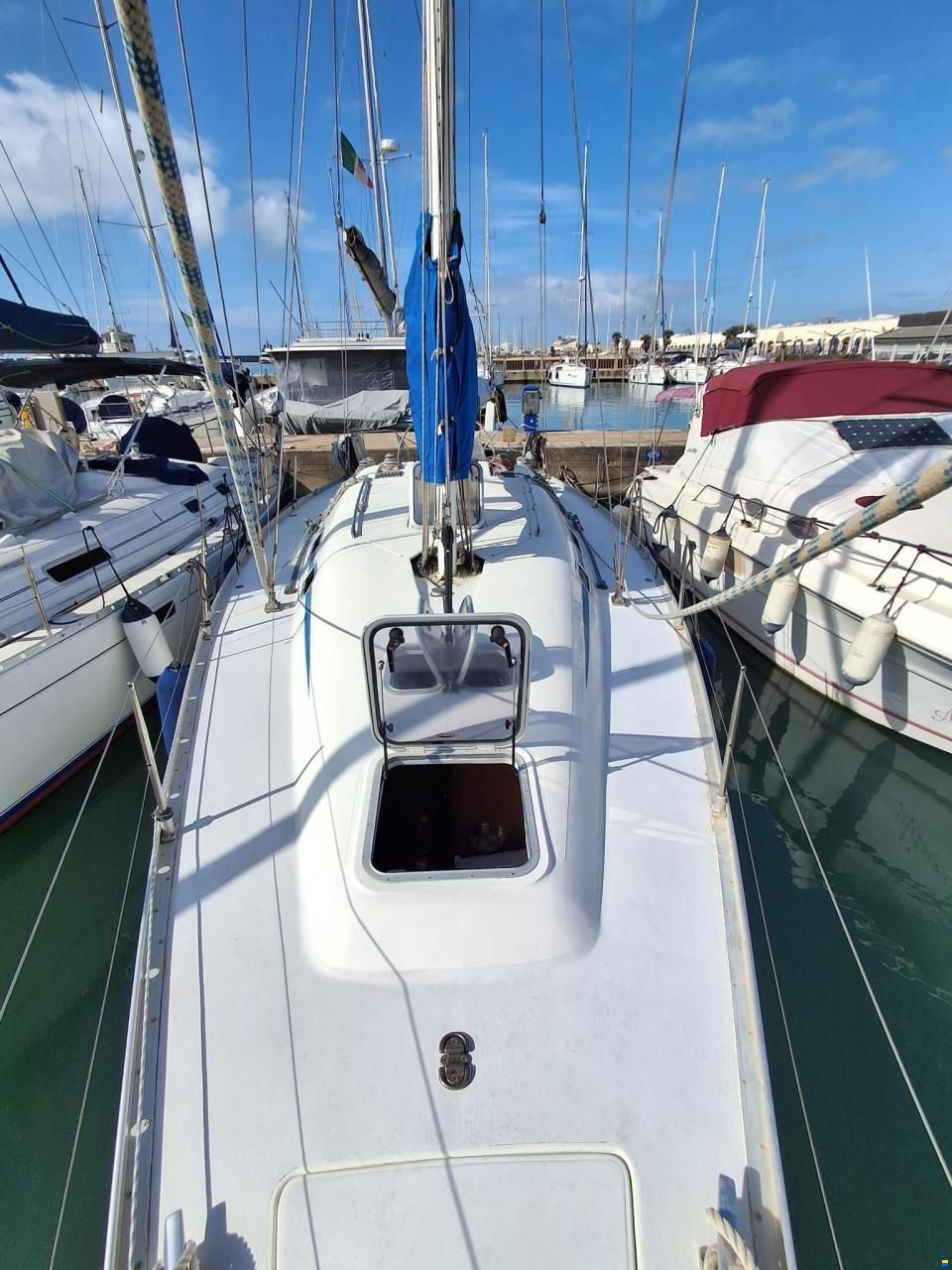 Argo Mare DUCK 41